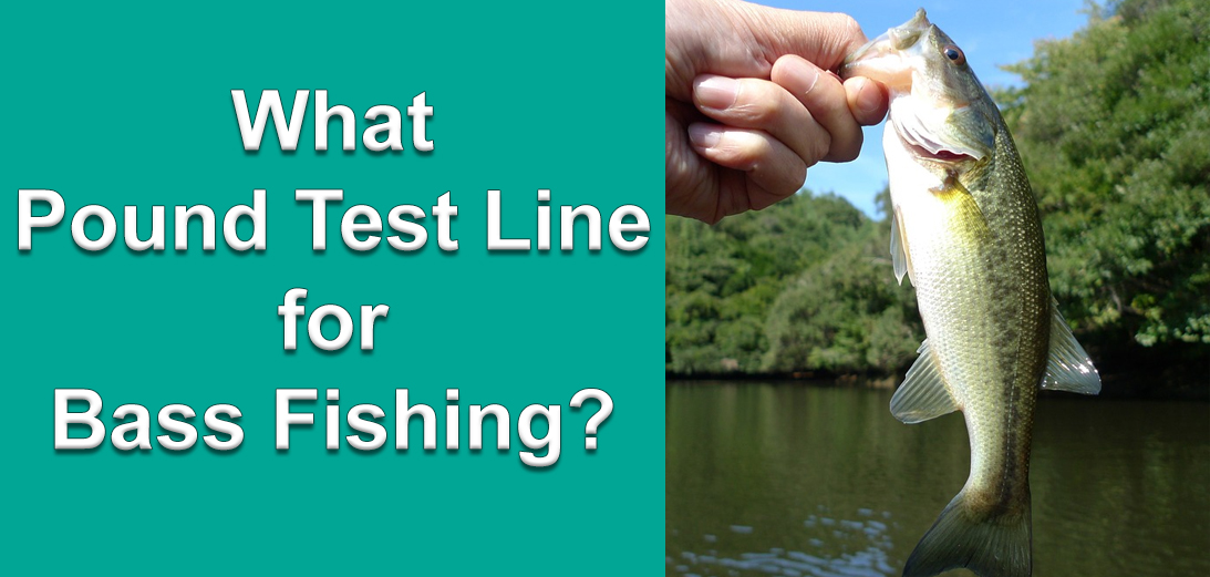 What is the Best Pound Test Line for Bass Fishing 